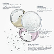 Charger l'image dans la galerie, Hyaluronic ceramide mist /Brume hydratante fortifiante
