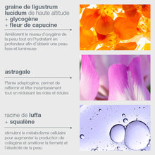 Charger l'image dans la galerie, Phyto nature oxygen cream hydratant oxygénant raffermissant